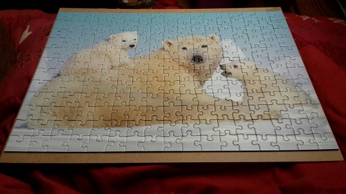 eisbärenfamilie-200-2