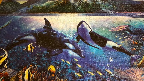 unterwasserwelt9